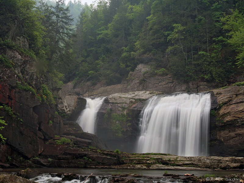 Two Waterfalls in Forest — Green, Serene, Morning