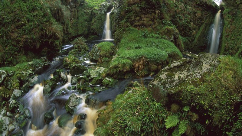 Two Waterfalls in Forest — Green, Serene, Photograph, River
