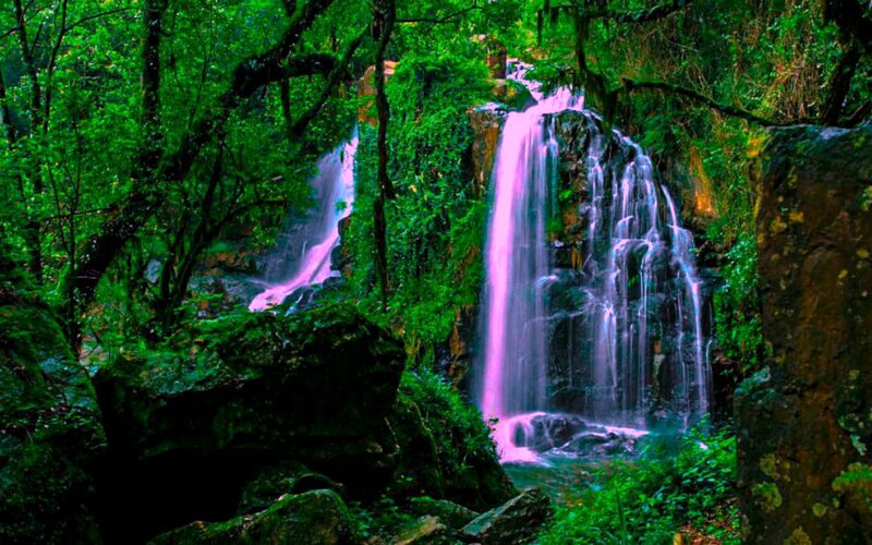 Two Waterfalls in Forest — Green, Serene, Photograph, Trees