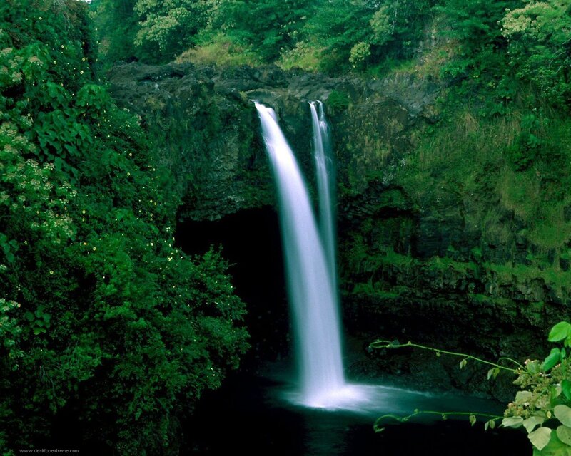 Two Waterfalls in Forest — Green, Serene