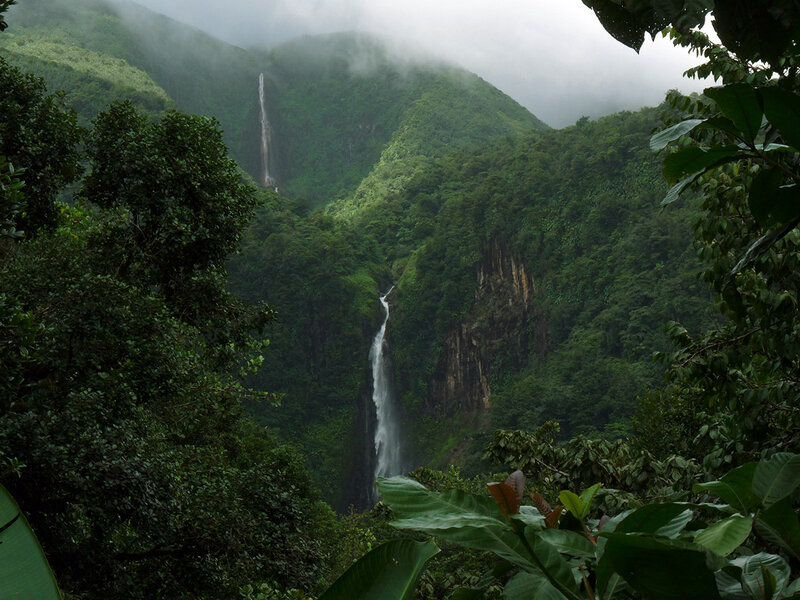 Two Waterfalls in Jungle — Green, Misty