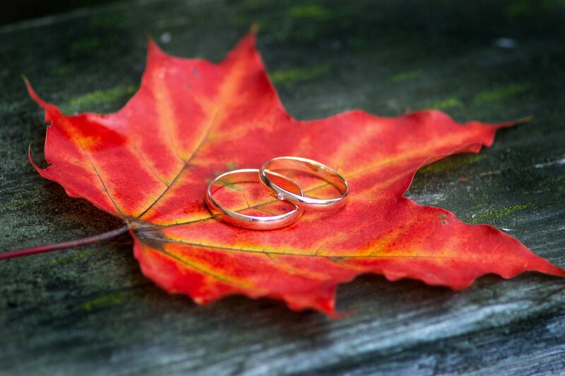 Two Wedding Rings on Leaf