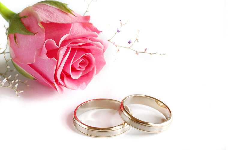 Two Wedding Rings — Pink, Romantic, Photograph, Rose, Baby's Breath