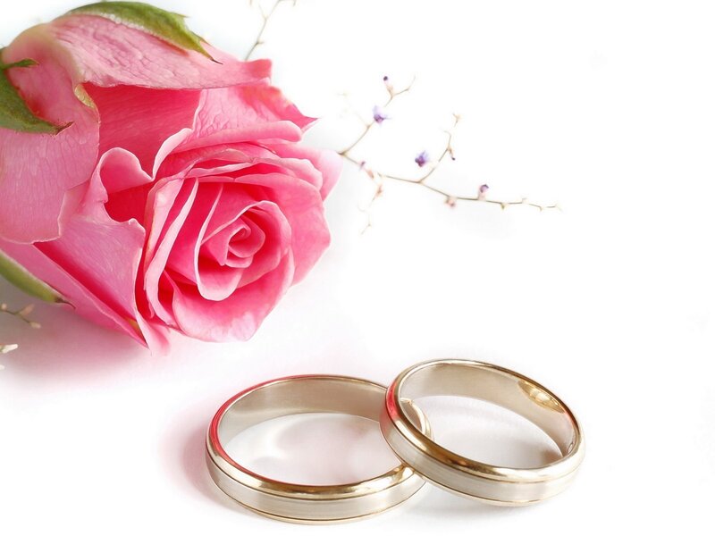 Two Wedding Rings — Pink, Romantic, Photograph, Rose