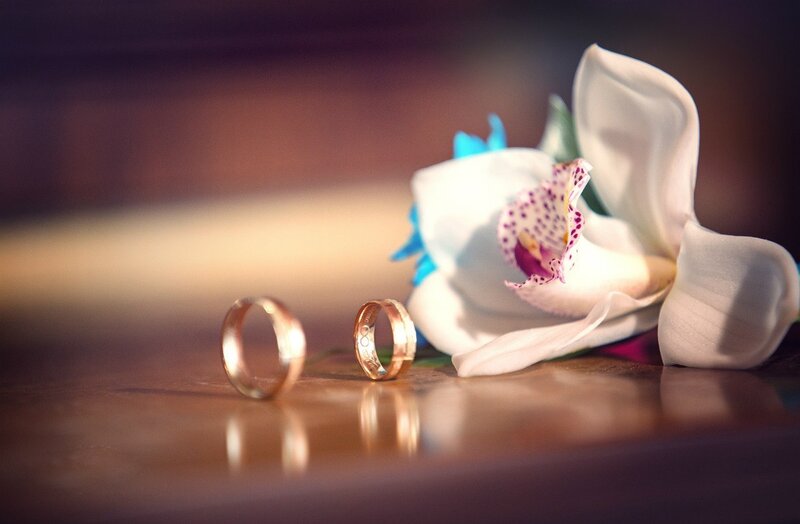 Two Wedding Rings — White, Romantic