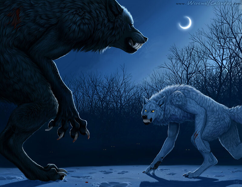 Two Werewolves Fighting — Blue, Dramatic