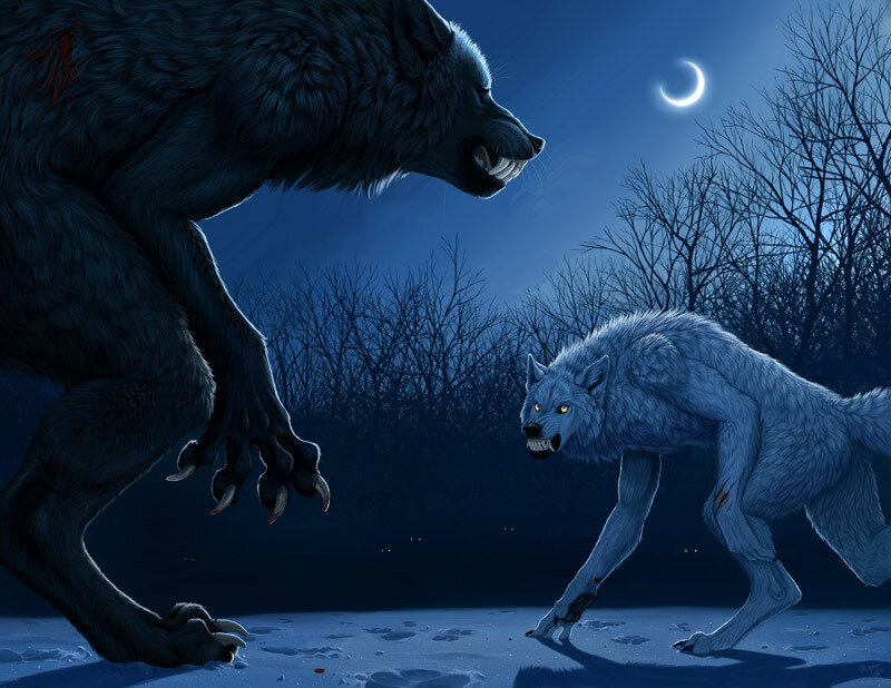 Two Werewolves Fighting
