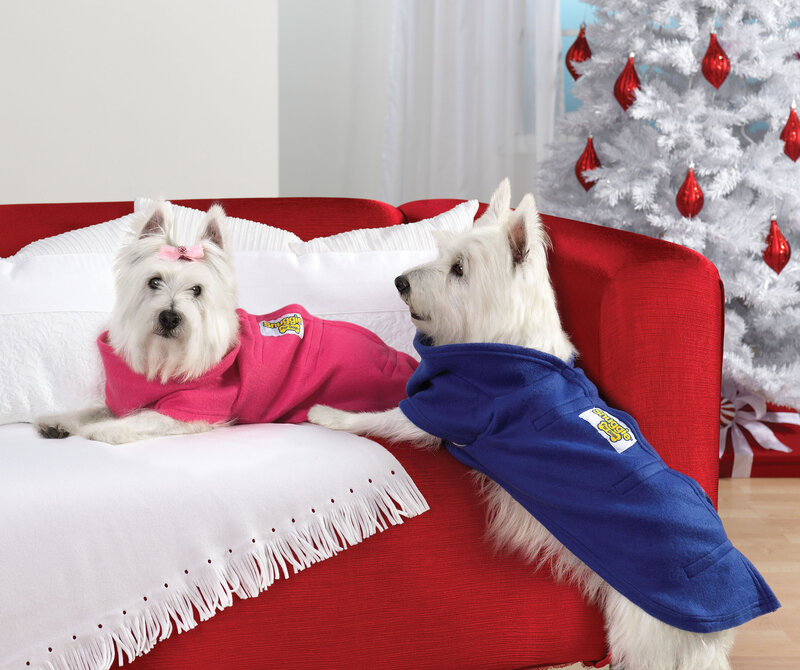 Two West Highland Terriers — Red