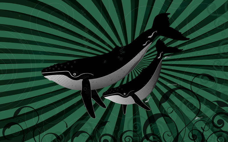 Two Whales Swimming