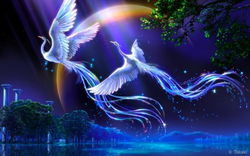 Two White Birds Flying — Blue, Serene