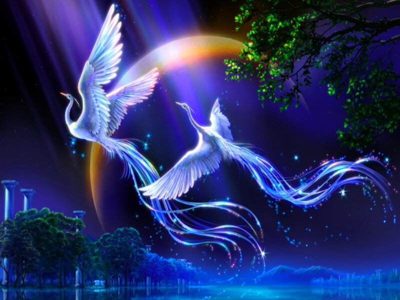 Two White Birds Flying — Blue