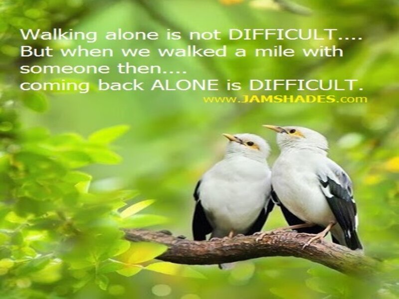 Two White Birds on Branch — Green