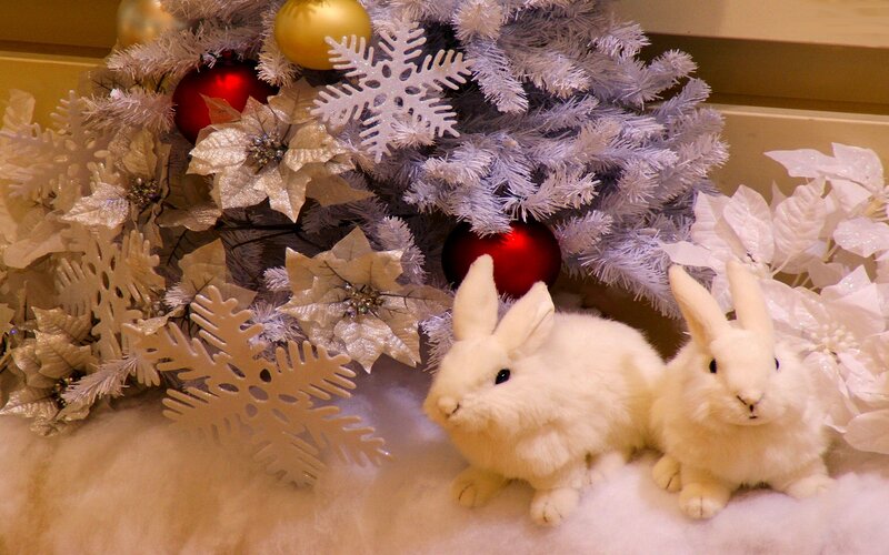 Two White Bunnies — Festive
