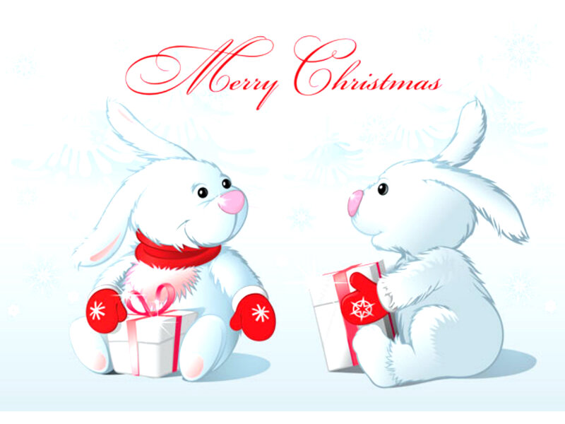 Two White Bunnies — Festive, Winter