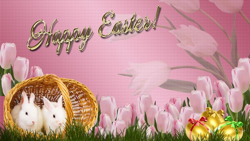 Two White Bunnies in Basket