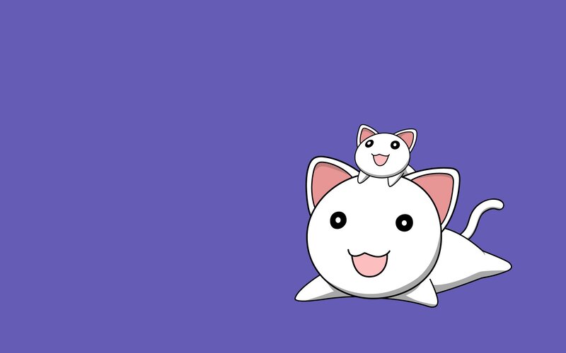 Two White Cats — Happy