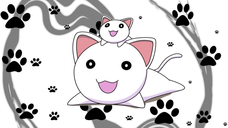 Two White Cats — Playful