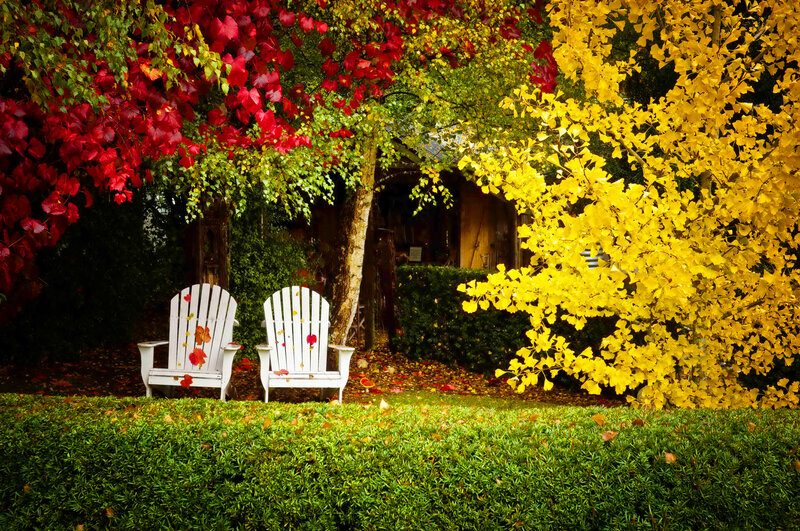 Two White Chairs in Garden
