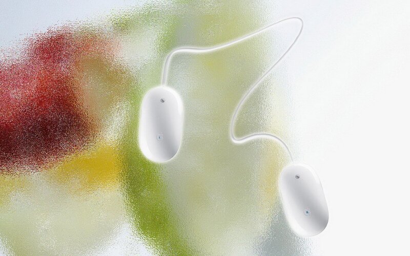 Two white computer mice