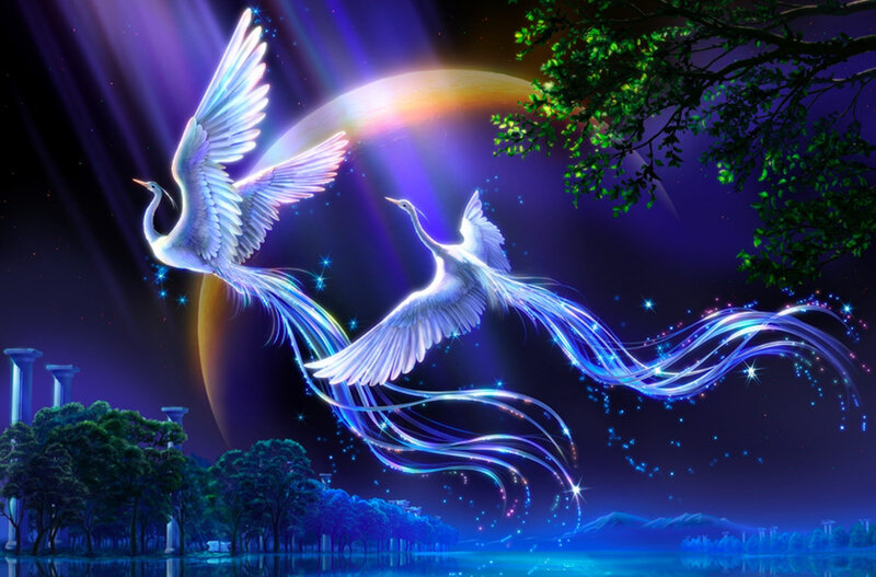 Two White Cranes Flying — Blue