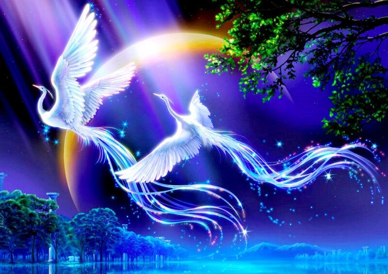 Two White Cranes Flying