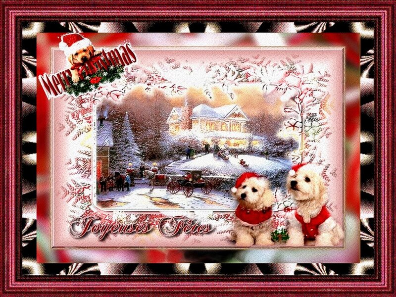 Two White Dogs in Winter