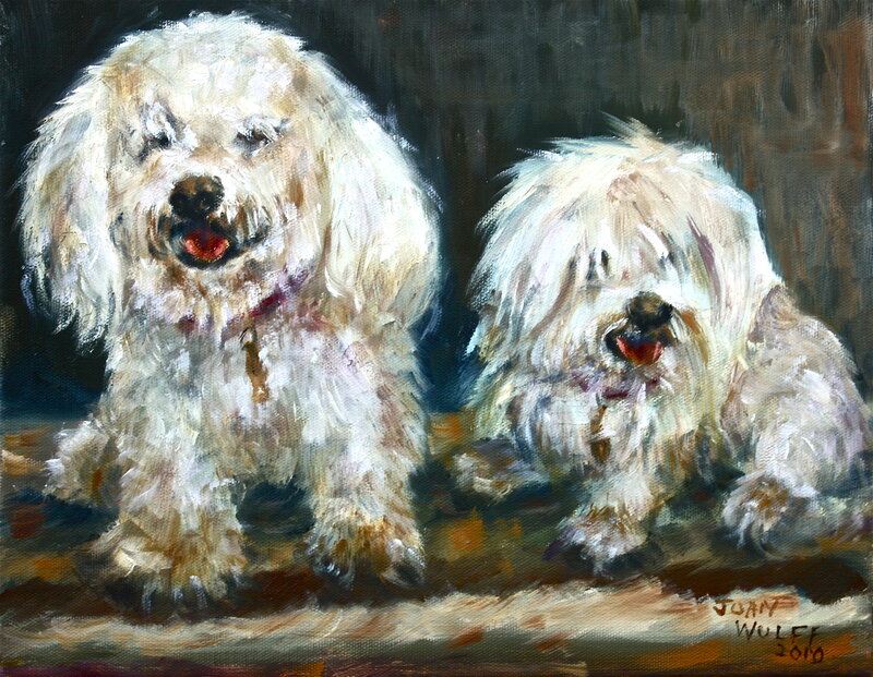 Two white dogs portrait