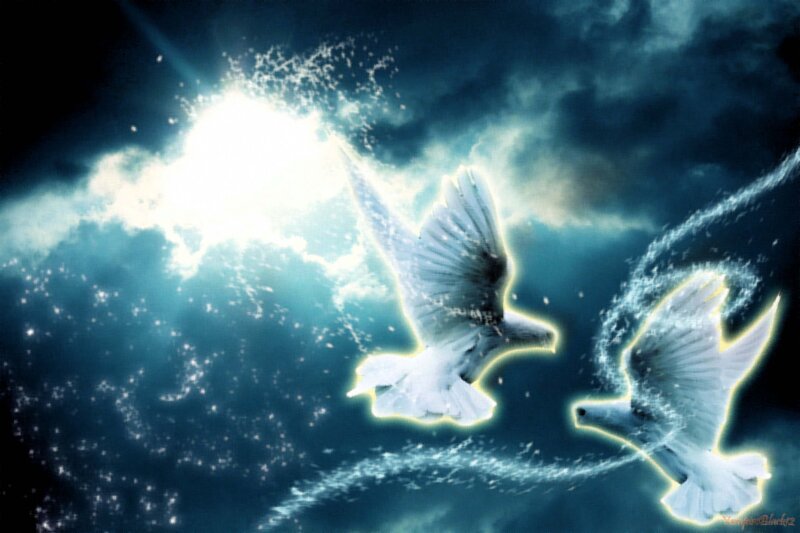 Two White Doves Flying — Blue, Dramatic