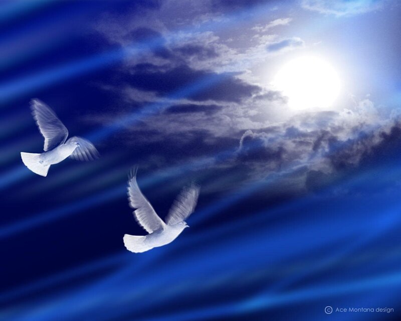 Two White Doves Flying — Blue, Serene, Afternoon, Digital Art