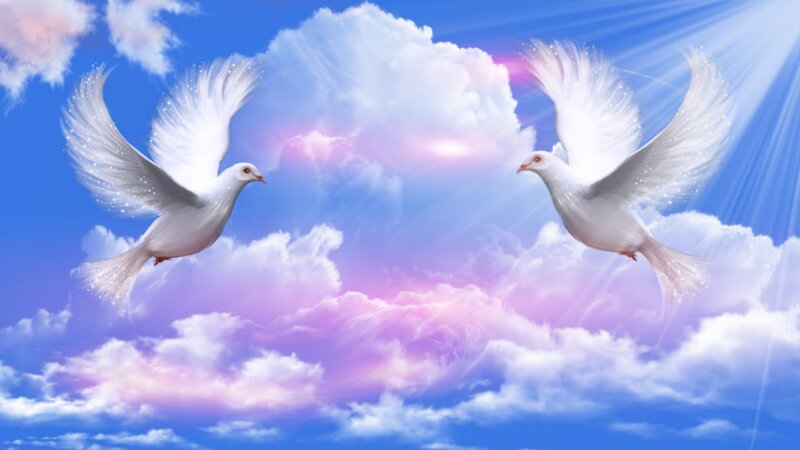 Two White Doves Flying — Blue, Serene, Digital Art, Clouds