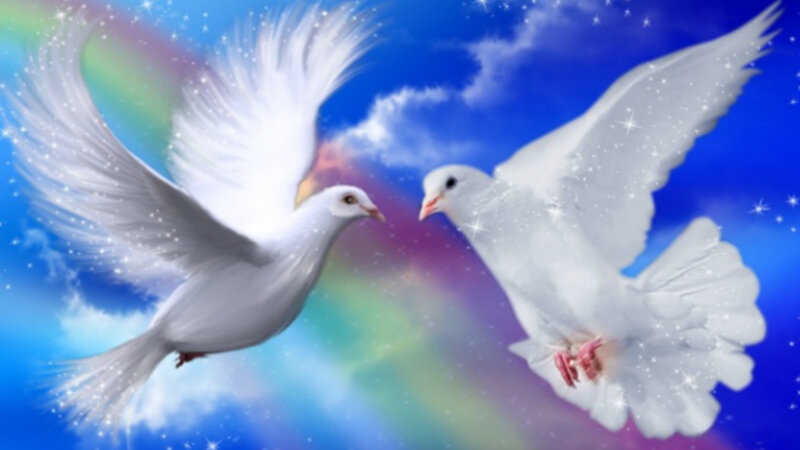 Two White Doves Flying — Blue, Serene, Digital Art, Rainbow