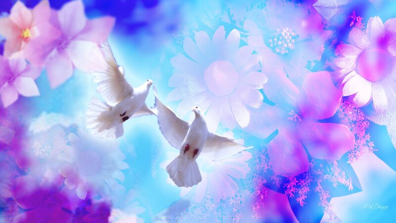 Two White Doves Flying — Blue, Serene, Digital Art