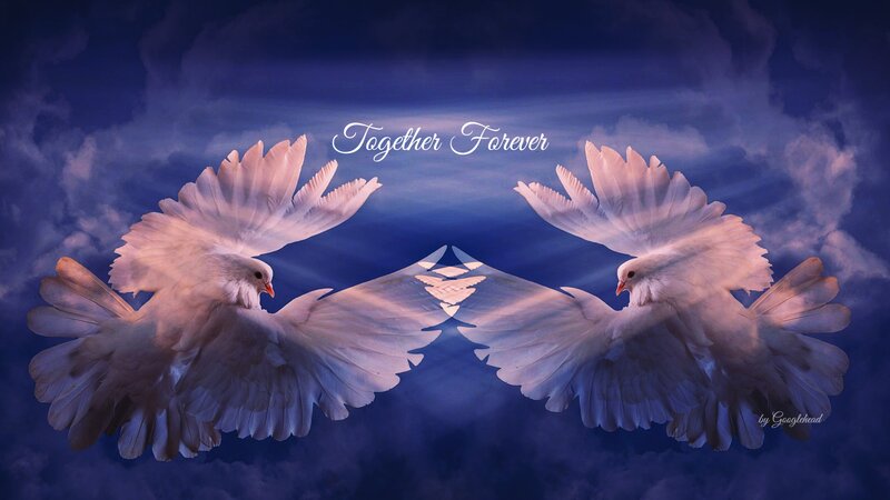 Two White Doves Flying — Blue, Serene, Night, Digital Art