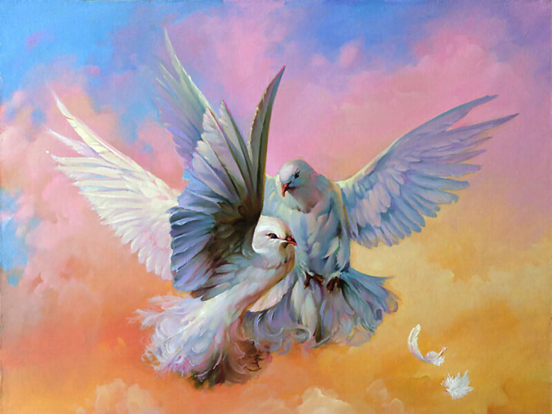 Two White Doves Flying — Blue, Serene, Sunset