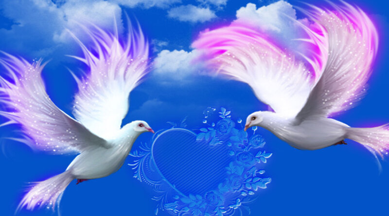 Two White Doves Flying — Blue, Serene