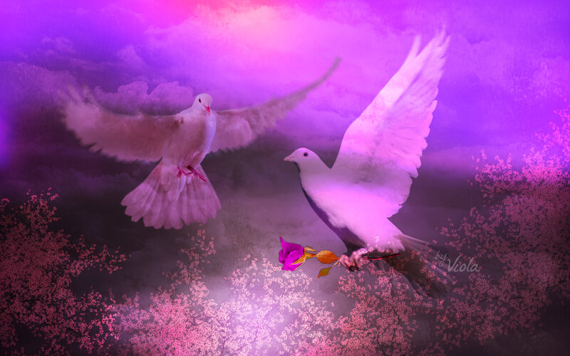 Two White Doves Flying — Purple, Serene