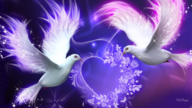 Two White Doves Flying — Purple