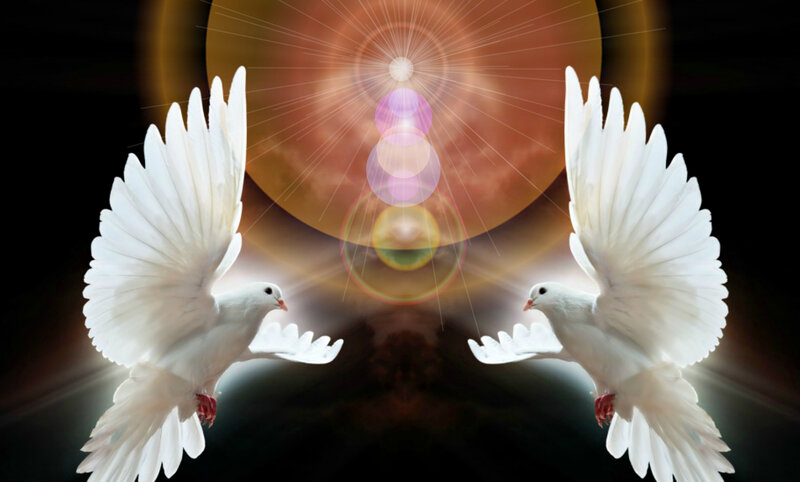 Two White Doves Flying — Serene, Digital Art