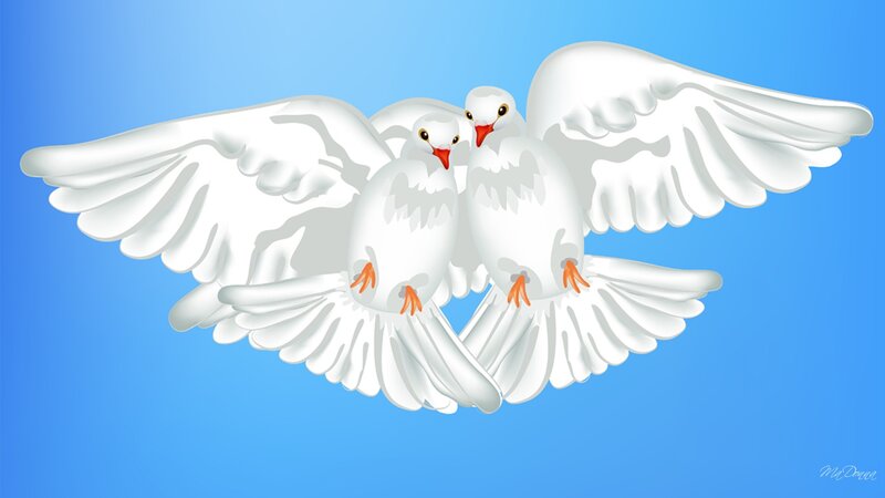 Two White Doves Flying — Serene, Digital Art, Wings