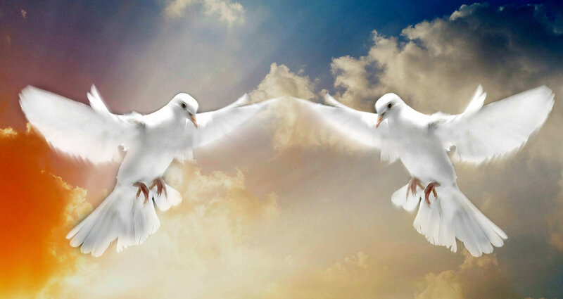 Two White Doves Flying — Serene, Sunset, Digital Art