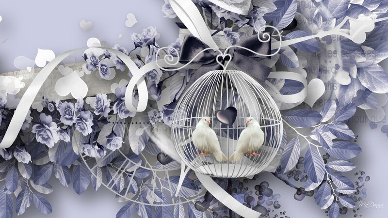 Two White Doves in a Cage