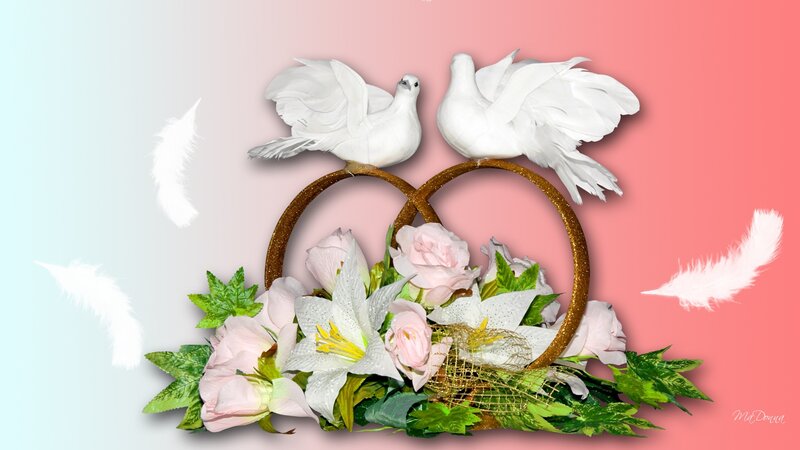 Two White Doves on Rings