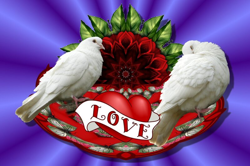 Two White Doves — Purple