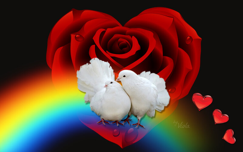 Two White Doves — Red
