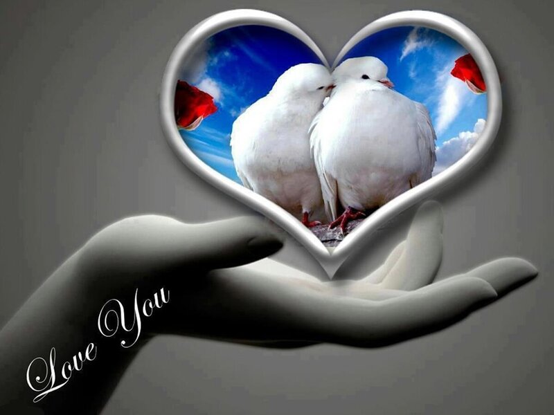 Two White Doves — Serene, Digital Art