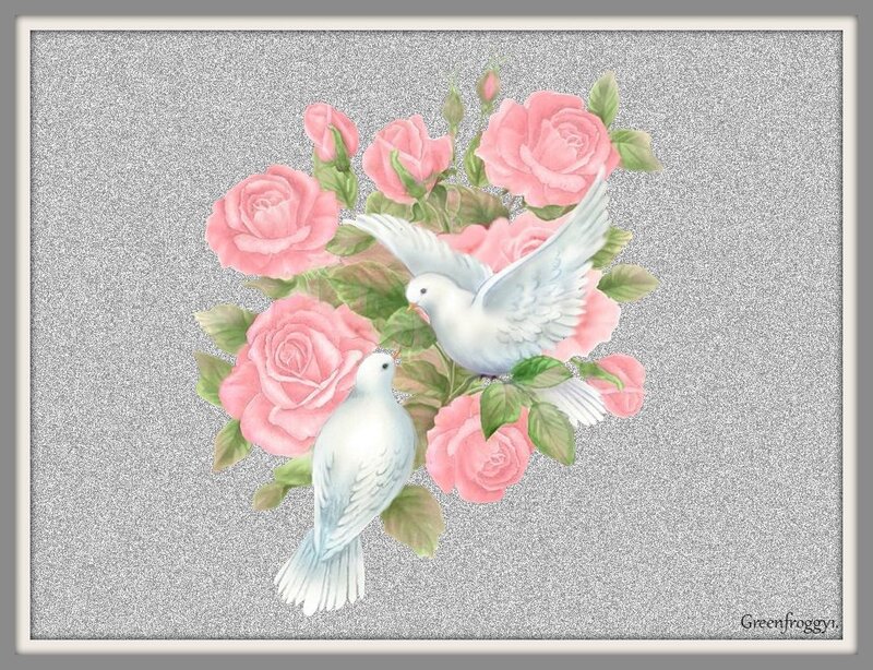 Two White Doves with Roses — Pink