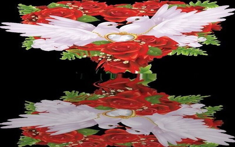 Two White Doves with Roses — Red