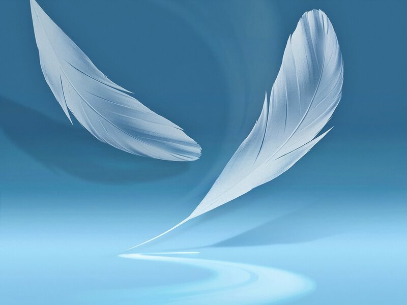 Two White Feathers — Blue, Serene, Digital Art