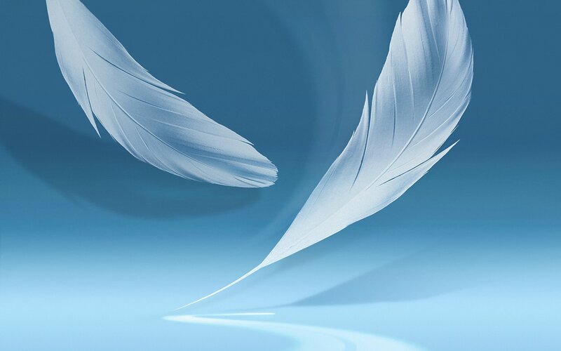 Two White Feathers — Serene