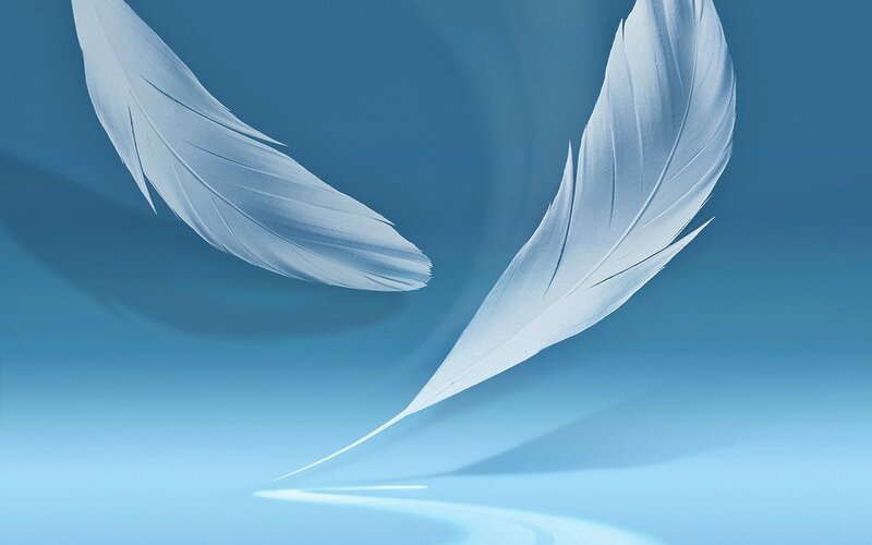 Two White Feathers